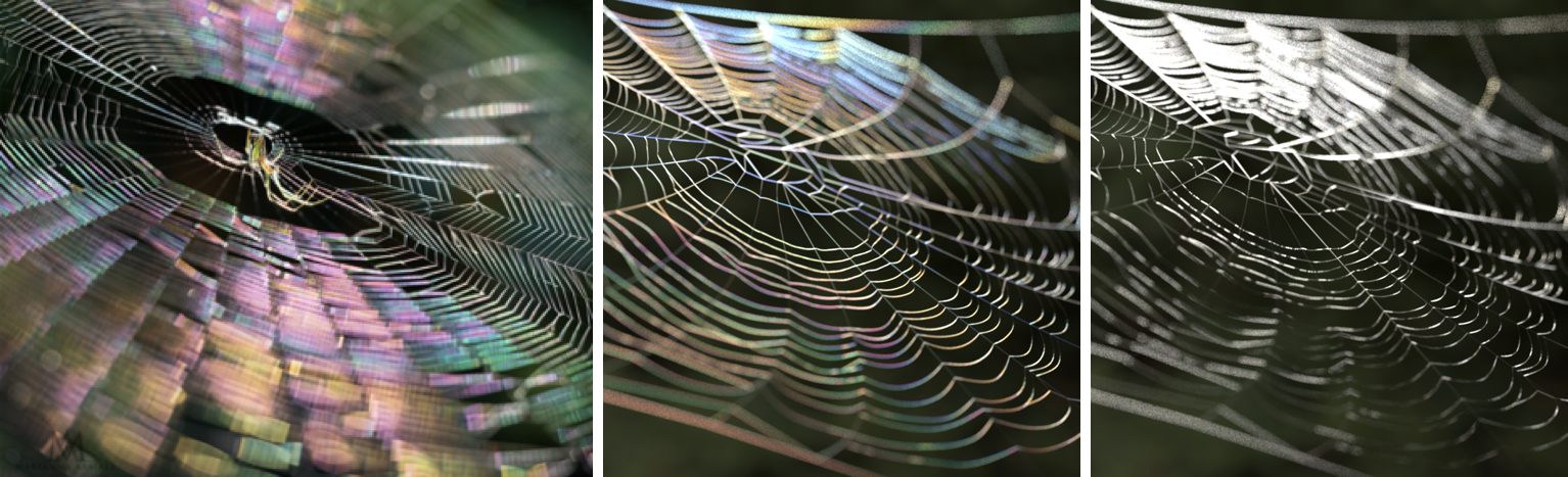 spiderweb_combined